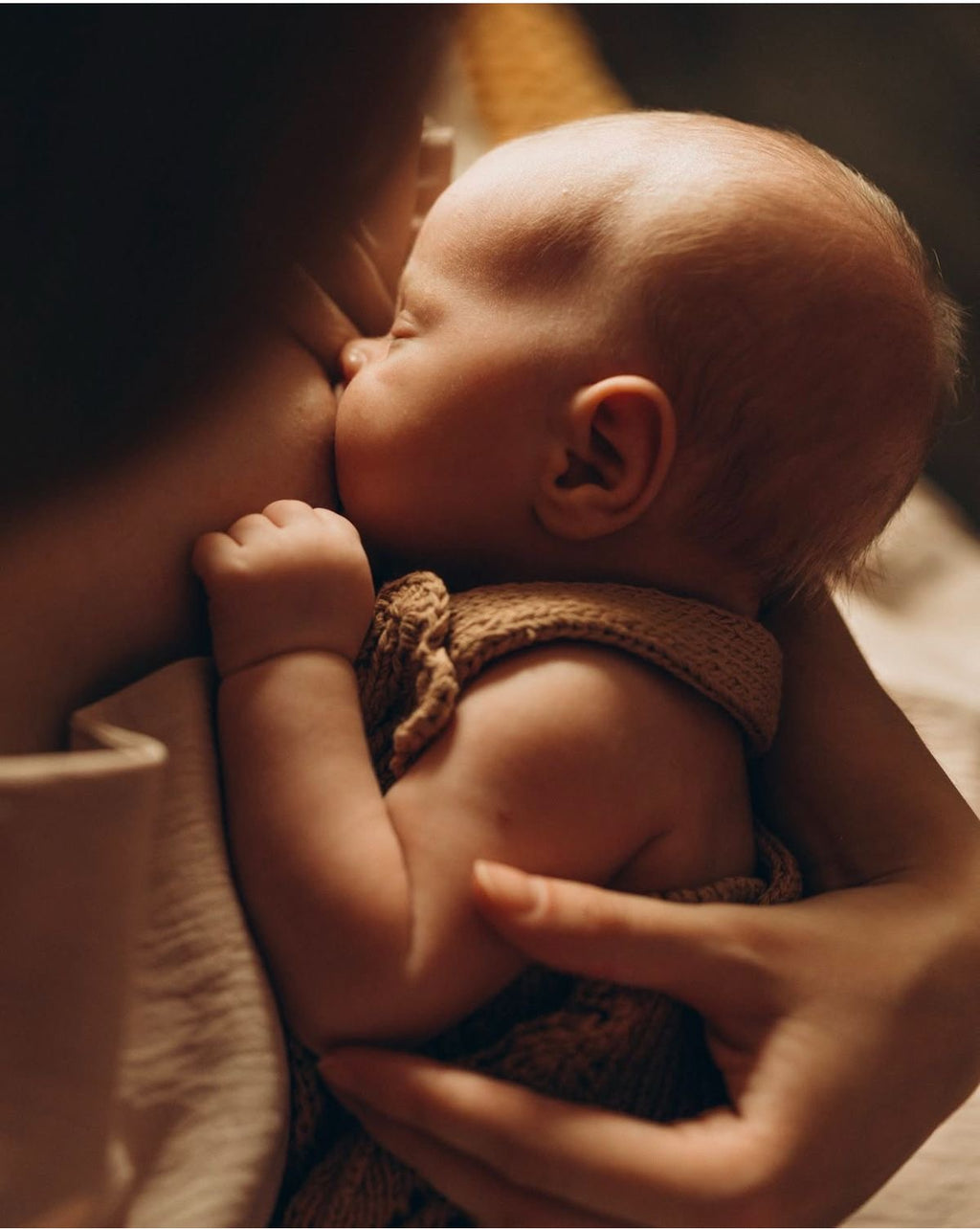 Programa Lactancia sin dolor