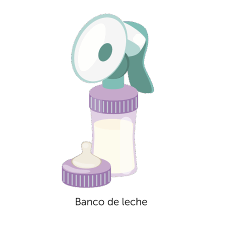 ✨ Curso Banco de Leche